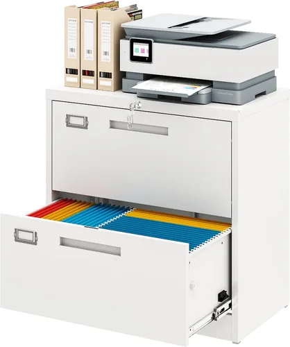 Miniatura 10 de Archivador de metal con 2 cajones con cerradura, gabinete archivador con soporte para impresora móvil y estantes para archivos de tamaño Negro
