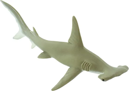 Miniatura 5 de Safari Ltd. Figura de tiburón Hammerhead – Figura detallada de plástico de 6.5 pulgadas – Divertido juguete educativo para niños, niñas y niños a