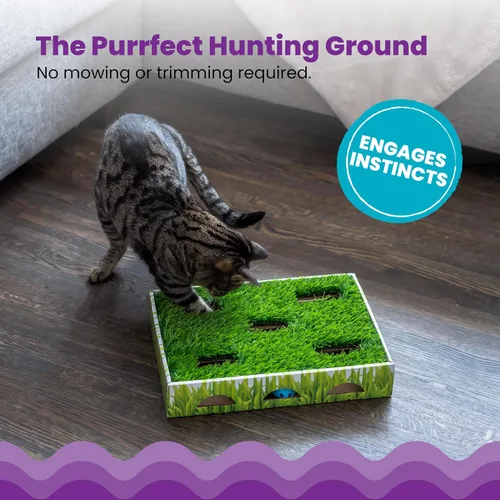 Miniatura 4 de Catstages Caja de Caza con Parche de Hierba - Juguete Interactivo para Gatos de Interior con Césped Sintético y 3 Bolas de Cascabel - Fomenta