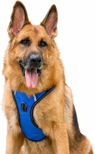 Miniatura 11 de Arnés antitirones para perro pequeño con 2 hebillas de liberación rápida y mango de fácil control, chaleco suave reflectante sin estrangulamiento