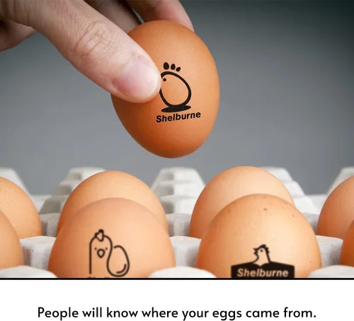 Miniatura 3 de Sellos de huevos para huevos frescos, Sello de huevo de pollo personalizado, Sellos de huevos personalizados, Sellos de huevos para huevos frescos