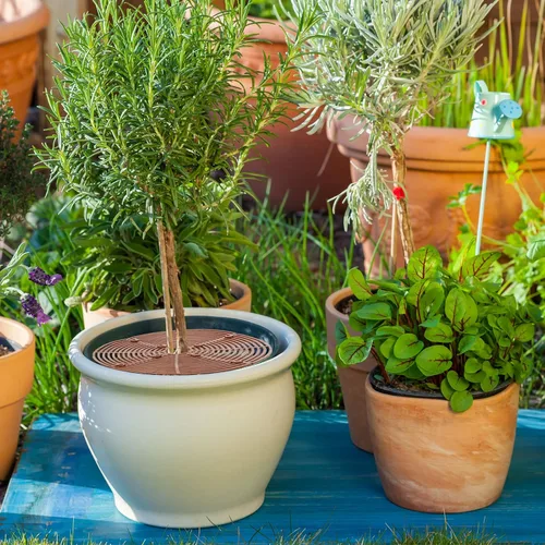 Miniatura 3 de Sawysine 3 piezas de cubierta para macetas de plantas de rejilla de macetas de animales con cubierta central de flores protectores de suelo