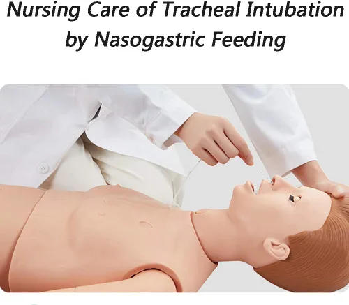 Miniatura 4 de Maniquí de entrenamiento de habilidades de enfermería, cuidado del paciente, tamaño real, 67 pulgadas, maniquí de cuerpo completo para enfermería