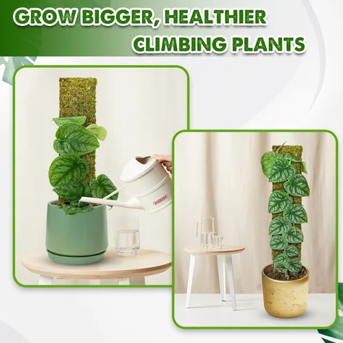 Miniatura 3 de DUSPRO Postes de musgo de malla plana para plantas trepadoras, Monstera, poste de musgo apilable para plantas con musgo real, poste para plantas
