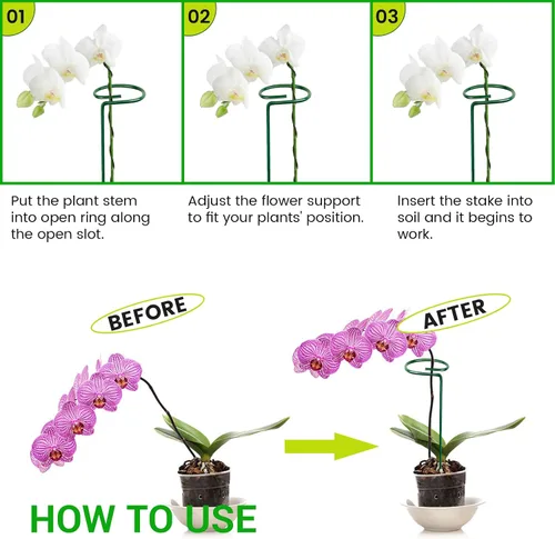 Miniatura 3 de 4 estacas para plantas de jardín para flores, soporte de metal para plantas de jardín de un solo tallo, soporte de flores de jardín para plantas