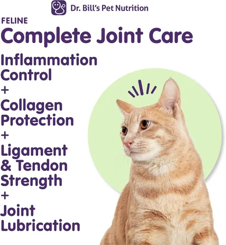 Miniatura 3 de Dr. Bill's Canine Complete Joint Care - Suplemento avanzado para cadera y articulaciones para perros - Apoya la movilidad, el cartílago