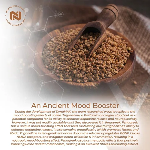 Miniatura 5 de Nootropics Depot Cápsulas de extracto de fenogreco 500 mg 60 ct 3% de trigonelina, 1% de protodioscina Trigonella foenum-graecum Estado