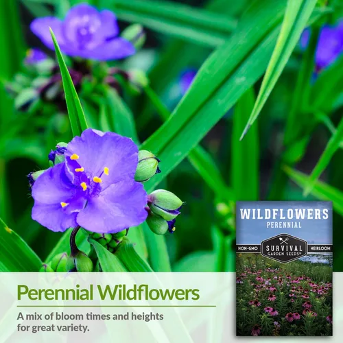 Miniatura 3 de Survival Garden Seeds Semillas de flores silvestres perennes para plantar, 1 paquete con instrucciones para cultivar flores silvestres en el jardín