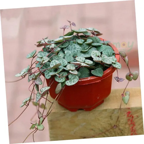 Miniatura 6 de DOITOOL Maceta de plástico octogonal colgante, maceta colgante para jardín, contenedor de flores de plástico, suministros de jardín, maceta