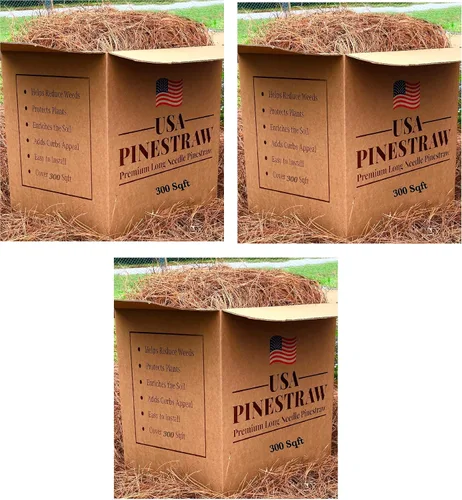 Miniatura 2 de Paja de pino de EE. UU., mantillo de aguja de pino de primera calidad (mantillo de aguja de pino, cubre 100 pies cuadrados, 2 juegos)