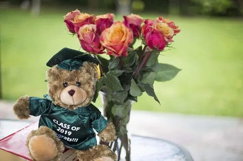 Miniatura 4 de Plushland Peluche de animal, juguetes de 12 pulgadas, regalo para el día de graduación, lo mejor para cualquier graduado de escuela, 12 pulgadas