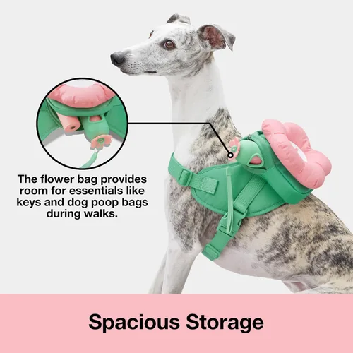 Miniatura 2 de VETRESKA Flora - Juego de arnés para perro, correa y collar, arnés de chaleco para perro sin tirones para caminar y entrenar, ajustable, fácil