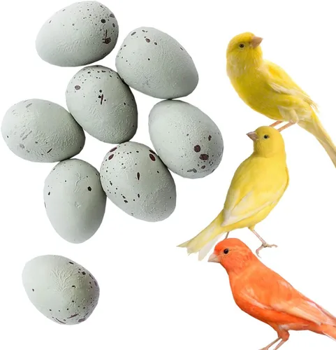 FOIBURELY 8 huevos de plástico canarios sólidos para incubar huevos para engañar a los pájaros para dejar de poner huevos, huevos falsos (0.748 in x