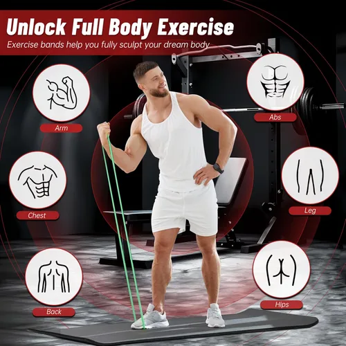 Miniatura 4 de Bandas de resistencia para entrenamiento, bandas de asistencia de 4 niveles, bandas de ejercicio para mujeres y hombres, bandas de entrenamiento