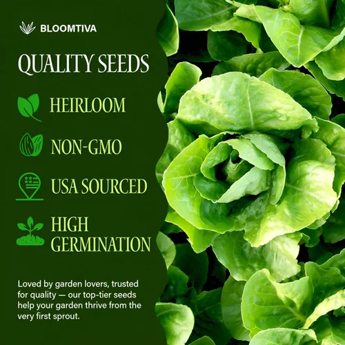 Miniatura 2 de Semillas de lechuga romana – Parris Island Cos, más de 8000 semillas reliquia sin OGM, paquete a granel de alta germinación, cultivadas en EE.UU.