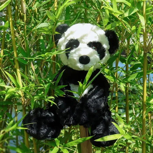 Miniatura 5 de Apricot Lamb Juguetes de peluche de oso panda de peluche, suave, perfecto para niños, panda blanco y negro