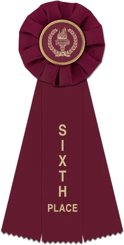 Miniatura 7 de Hodges Badge - Paquete de 7 cintas de roseta de premio - 1, 2, 3, 4, 5, 6 y Premio al participante, cinta de premio de la antorcha de la victoria