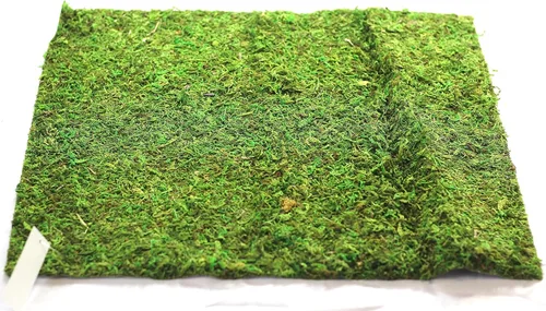 Miniatura 10 de Alfombra y tapetes de musgo preservado (12 pulgadas x 6 pies)