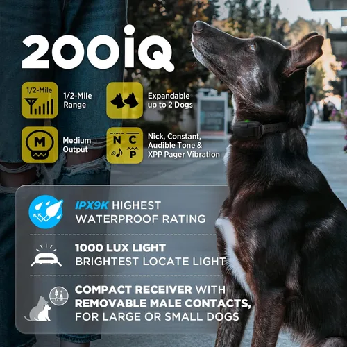 Miniatura 7 de Dogtra 200iQ Collar E de entrenamiento remoto – 100 niveles, tono, vibración, rango de 1/2 milla – Compacto, impermeable, control con una sola mano