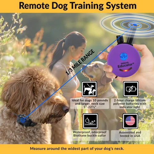 Miniatura 3 de Collar de entrenamiento humano para perros Educator E-Collar con control remoto, 100 niveles seguros de estimulación por toque, luz nocturna, Púrpura