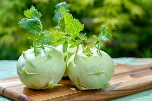 Miniatura 2 de Semillas de col gigante exóticas de colinabo Paquete de más de 100 semillas Cultiva este repollo gigante de reliquia Semillas de vegetales