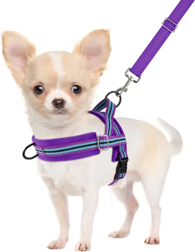 Miniatura 13 de SlowTon - Juego de arnés y correa para perros pequeños sin tirones, chaleco suave ajustable para cachorros para el cuello y el pecho, arnés