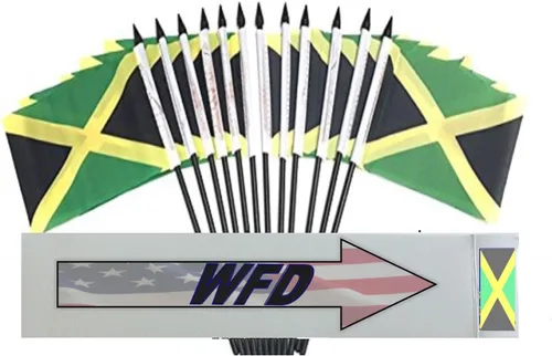 Miniatura 20 de World Flags Direct Banderas en miniatura de poliéster de Afganistán, paquete de 12, decoración de mesa de fiesta, desfiles, 4 x 6 pulgadas, verde