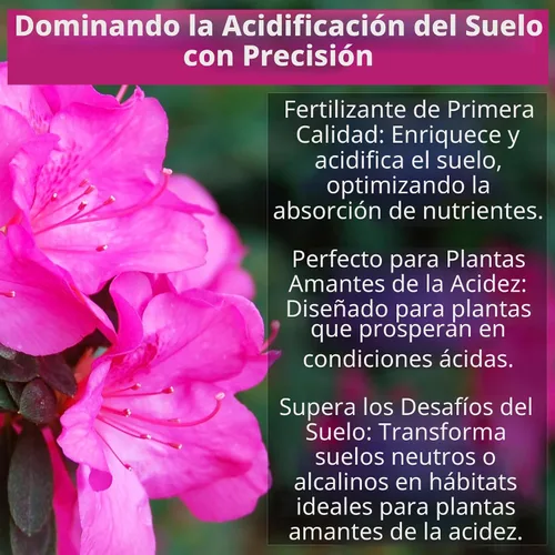 Miniatura 3 de GARDENWISE 8-4-8 Fertilizante ácido para azaleas, camelias (camelia), hortensias, arándanos, gardenias, árboles de magnolia, plantas de hoja perenne
