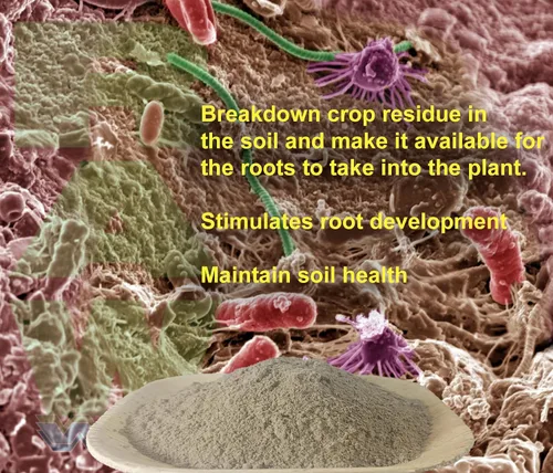 Miniatura 3 de RAW Microbes Grow Stage 2 oz