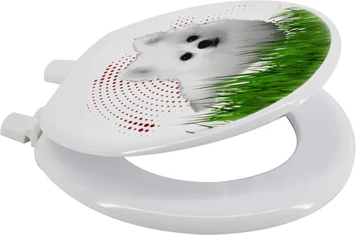 Uniware Asientos de inodoro estándar de diseño único de 17 pulgadas con parachoques hermético delantero redondo (Jay)