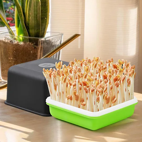 Miniatura 7 de Caja hidropónica de cacahuete, 3 bandejas para vivero con tapa, 6.69 x 6.69 x 6.10 pulgadas, bandeja de germinación libre para jardinería