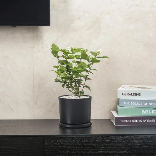 Miniatura 2 de Ekirlin - Macetas de 7 pulgadas para plantas, macetas de cerámica para flores en interiores, contenedores modernos de suculentas con plato