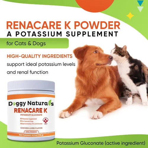 Miniatura 9 de RenaCare K es para Renal K (gluconato de potasio) Suplemento en polvo de potasio para perros y gatos, (4 onzas) con sabor a hígado de pollo