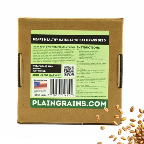 Miniatura 7 de PlainGrains. The Natural Way - Semillas de pasto de trigo de 1.5 libras 100% semillas de hierba de trigo para brotar Semillas de hierba