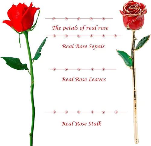 Miniatura 3 de Regalos para mamá, rosa dorada, rosa bañada en oro hecha de rosa real, regalos para ella y los mejores regalos para la madre, rosas doradas
