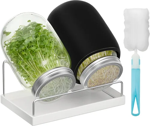 Kit de germinación Pawfly, tarros de boca ancha de 1 cuarto de galón (1000 mL) de albañil, kit de tarros de germinación con tapas de malla de acero