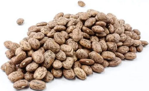 Semillas de frijol pinto Shell - Paquete de semillas de 50 unidades - Sabrosas y fáciles de cultivar, estas son excelentes chiles y frijoles