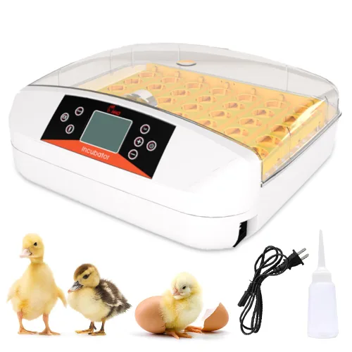 Miniatura 9 de HOWOOlUA Incubadora de 12 huevos para incubar huevos con giro automático, control de temperatura y humedad, incubadora de gran capacidad