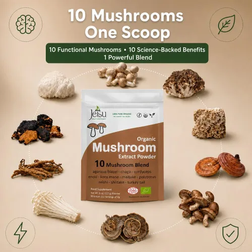 Miniatura 8 de Polvo de extracto de hongos – Potente mezcla de 10, melena de león orgánica, Cordyceps, Reishi, Shiitake, hongo cola de pavo suplemento cerebral