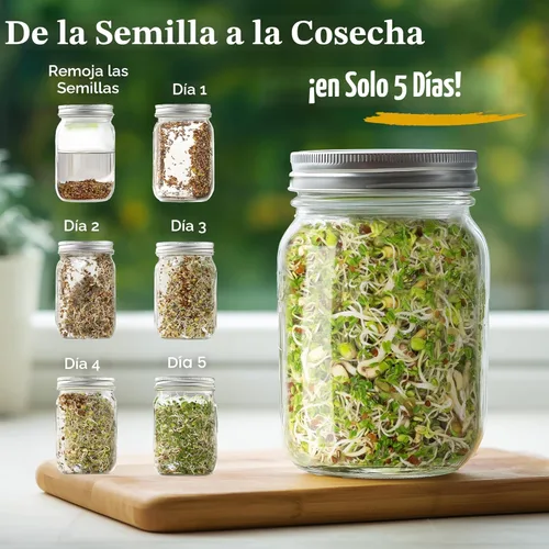 Miniatura 2 de Seedboy Semillas orgánicas sin OMG, mezcla de ensalada fresca, mezcla de microverduras cultivadas en Estados Unidos con alfalfa, brócoli, rábano