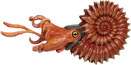 Safari Ltd. Figura de amonita - Figura detallada de moluscos marinos de 5.25 pulgadas, juguete educativo para niños, niñas y niños a partir de 3 años