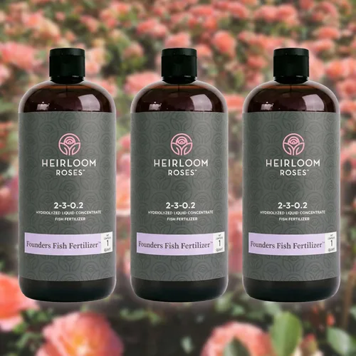 Miniatura 9 de Heirloom Roses Founder's Fertilizante para peces, alimento vegetal para plantas, fertilizante líquido orgánico de emulsión, fertilizantes de jardín