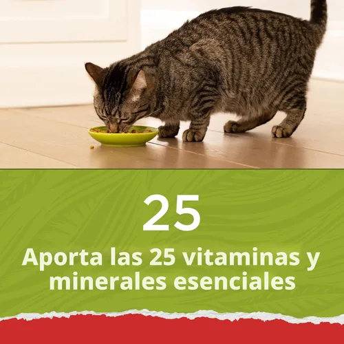 Miniatura 3 de Purina Cat Chow Naturals - Alimento seco para gatos con vitaminas, minerales y nutrientes añadidos, Naturals Original - Bolsa de 13 libras