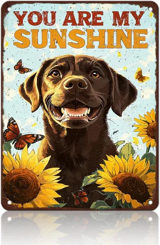 Miniatura 13 de Póster de metal retro con texto en inglés «You Are My Sunshine» de metal con texto en inglés «You Are My Sunshine» («You Are My Sunshine»)