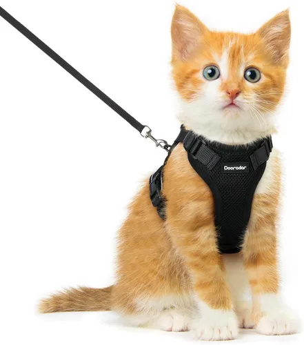 Miniatura 22 de Dooradar Juego de arnés y correa para gato, chaleco ajustable seguro a prueba de escapes, para caminar, chaqueta de malla suave y transpirable