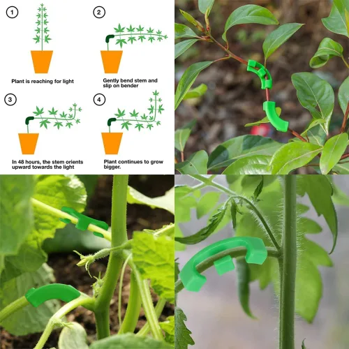 Miniatura 4 de 80 clips de entrenamiento de tallo de plantas, ramas dobladoras de brotes de plantas de bajo estrés, clips de soporte para plantas, abrazaderas
