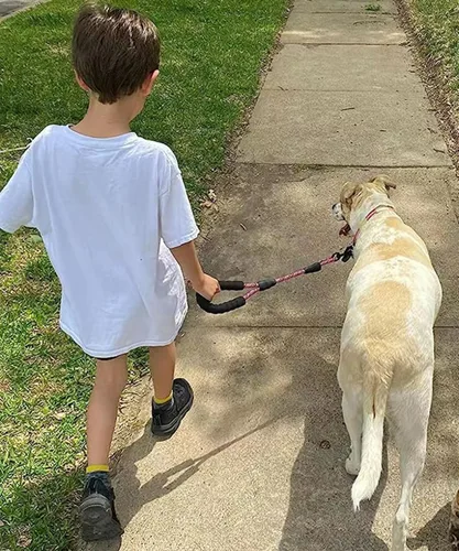 Miniatura 3 de Correa corta para perro de 18 pulgadas, cuerda de tráfico para perro con mango acolchado, lengüeta de nailon fuerte de 1.5 pies para perros medianos