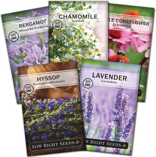 Sow Right Seeds - Colección de semillas de hierbas medicinales para plantar - Manzanilla romana, equinácea, lavanda, hisopo y bergamota - Semilla de
