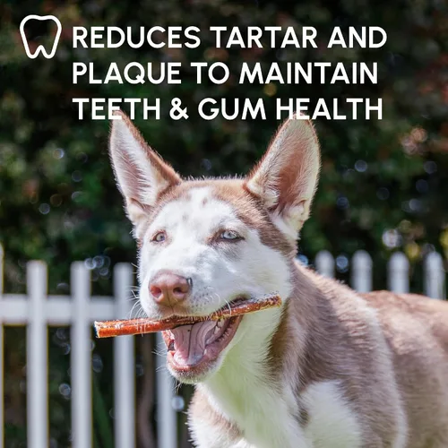 Miniatura 6 de Downtown Pet Supply Bully Sticks para perros, masticables naturales de carne de res de 6 pulgadas, sin olor y sin piel cruda, golosinas para perros