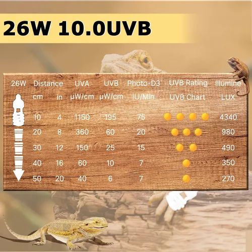 Miniatura 5 de Luz de reptil UVB 10.0 de 26 W, bombilla compacta de desierto para dragones barbudos, lagartos, serpientes, geckos, anfibios, lámpara UVA UVB